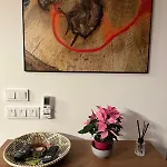Apartament Rezidence U Hajenky 434 *